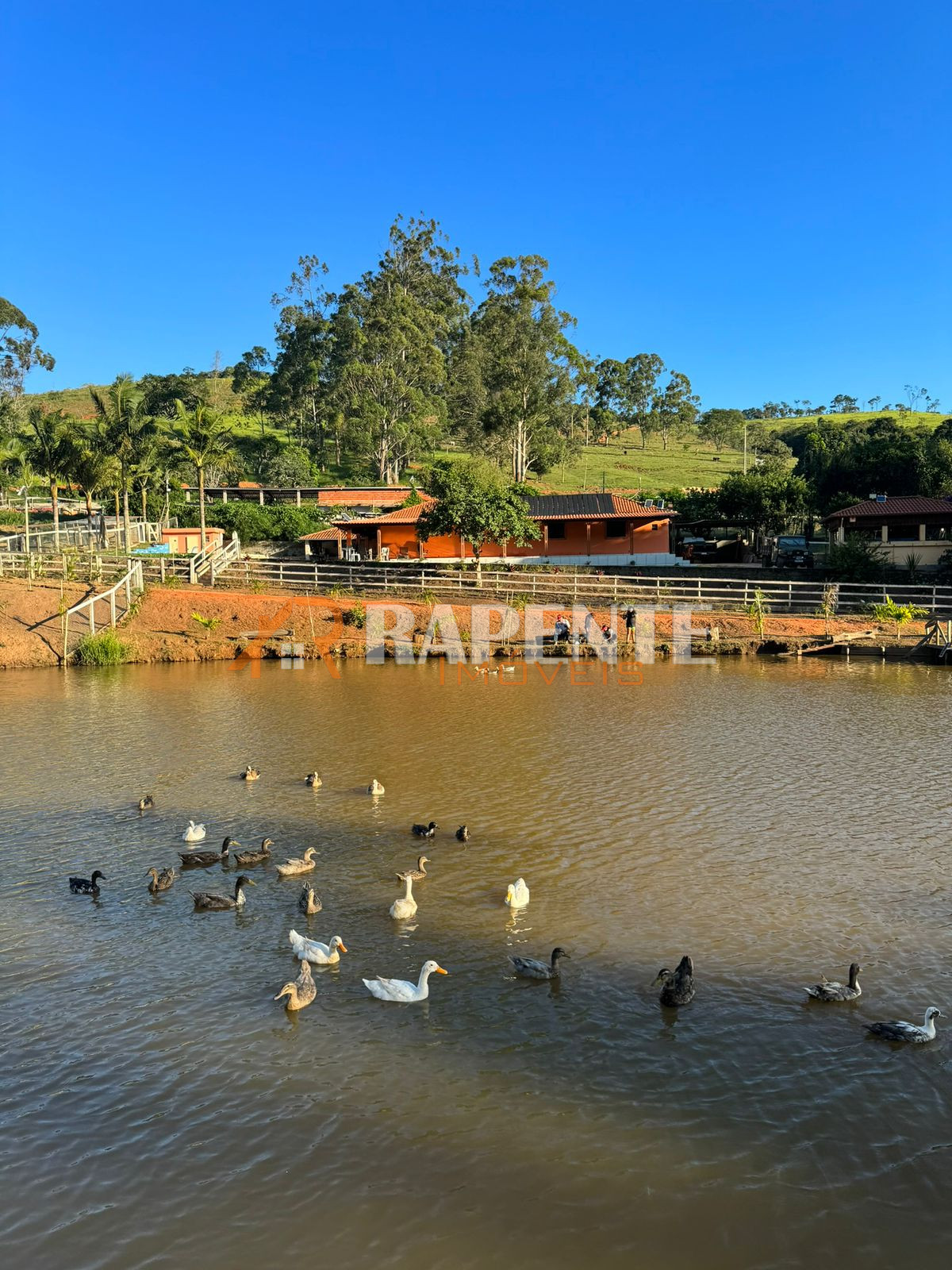 O Paraíso é aqui! Fazenda autossustentável incrível!