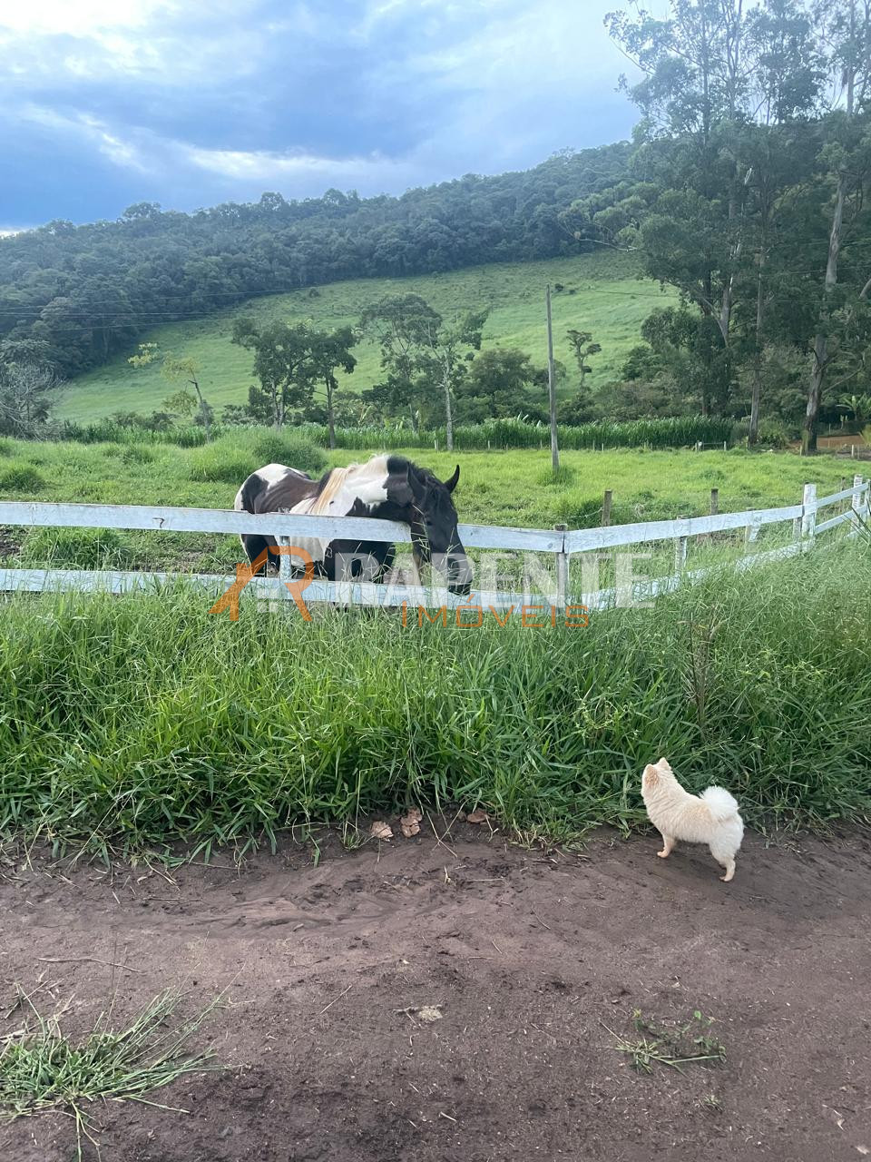 O Paraíso é aqui! Fazenda autossustentável incrível!