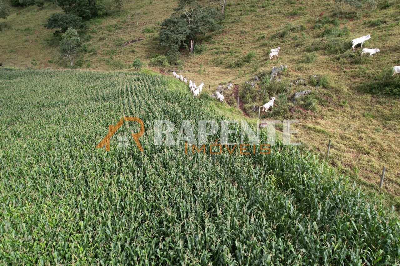 O Paraíso é aqui! Fazenda autossustentável incrível!