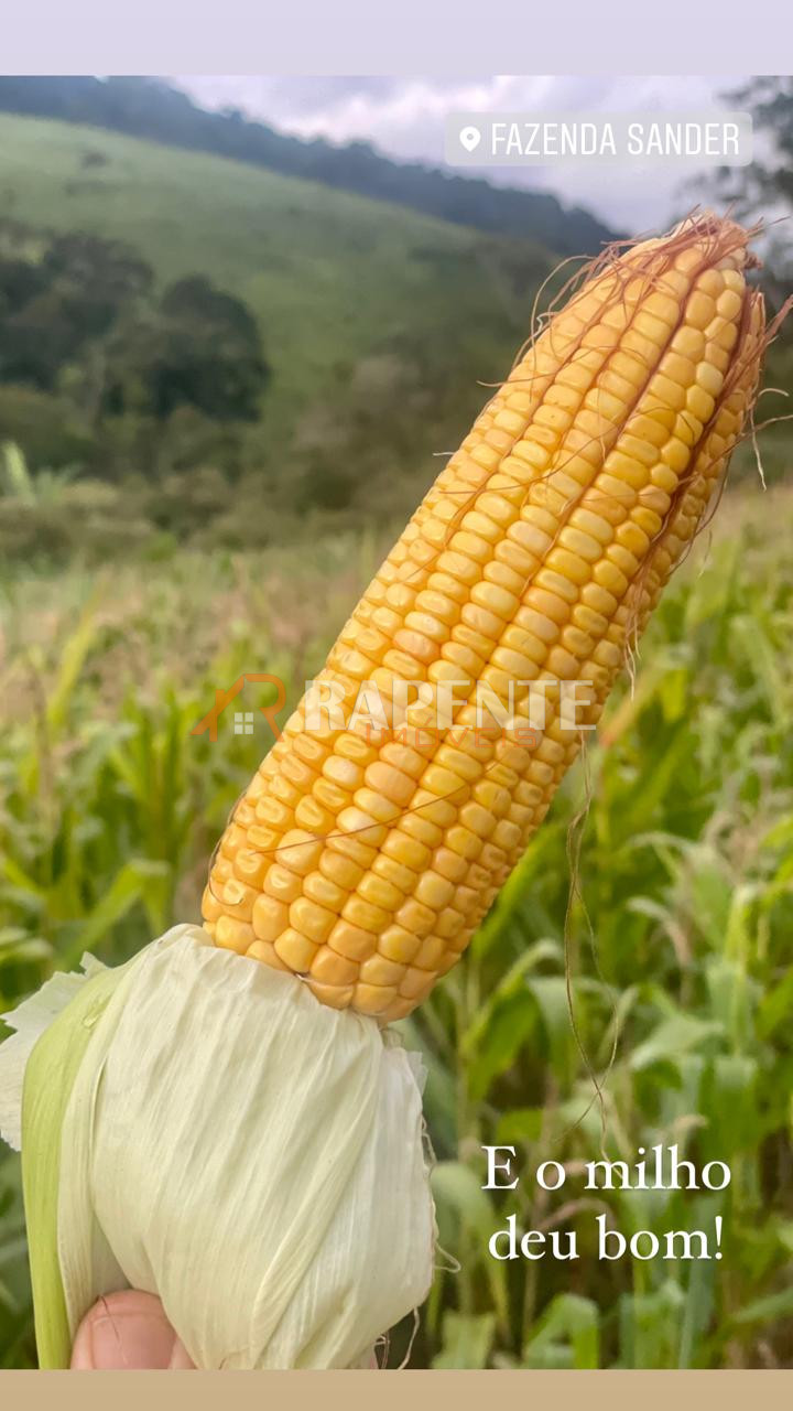 O Paraíso é aqui! Fazenda autossustentável incrível!