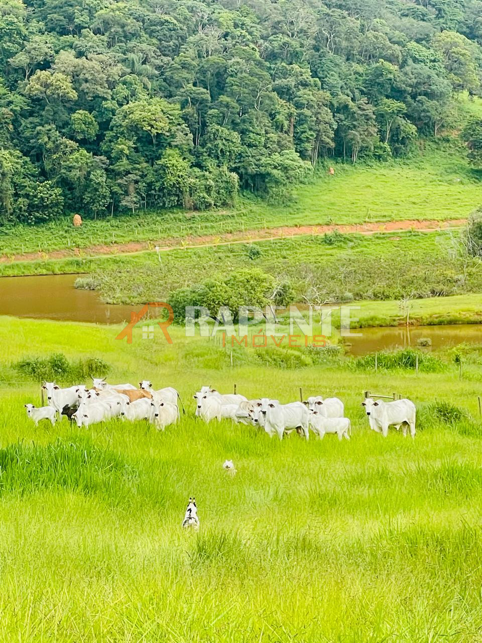 O Paraíso é aqui! Fazenda autossustentável incrível!