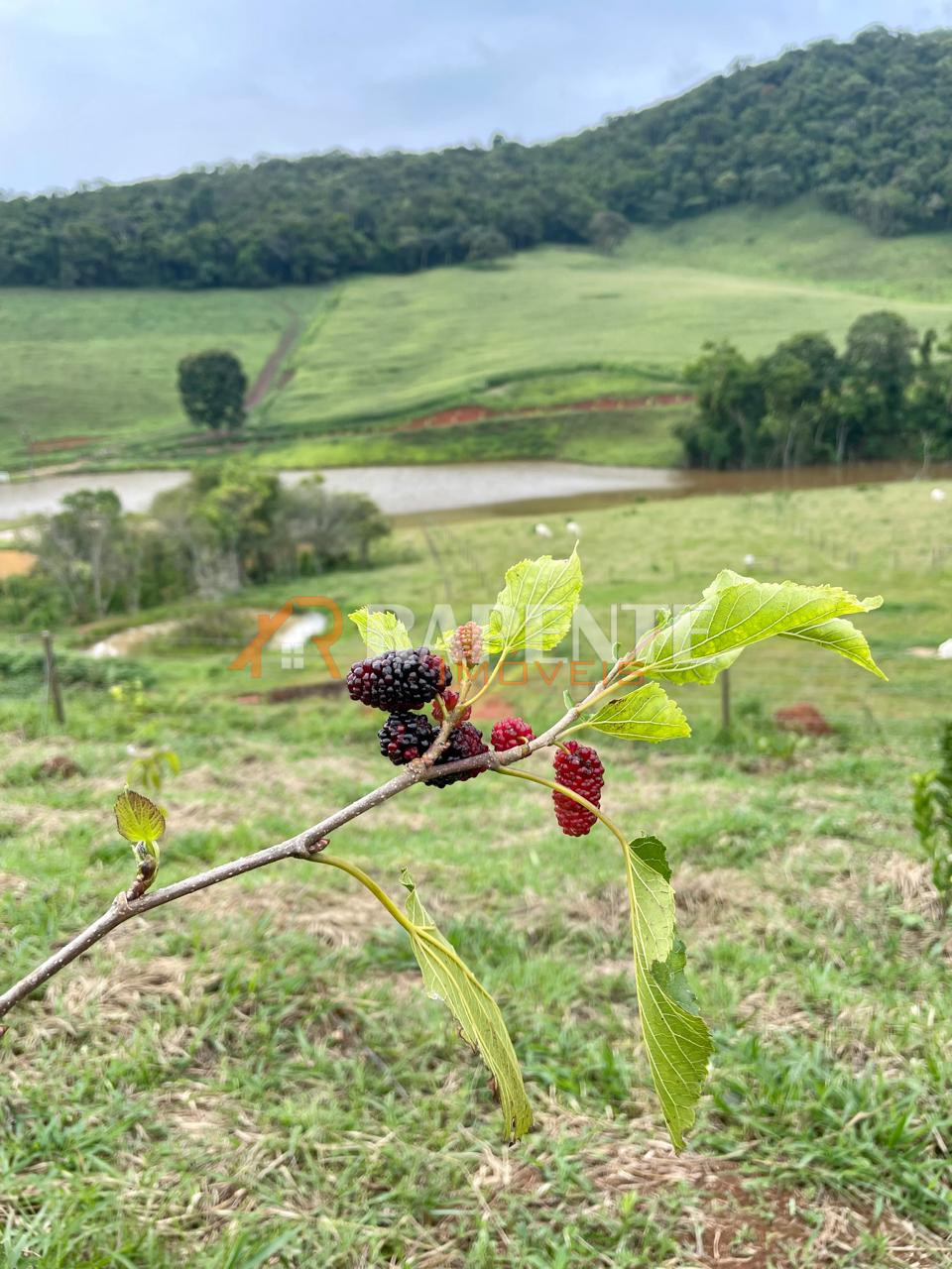 O Paraíso é aqui! Fazenda autossustentável incrível!