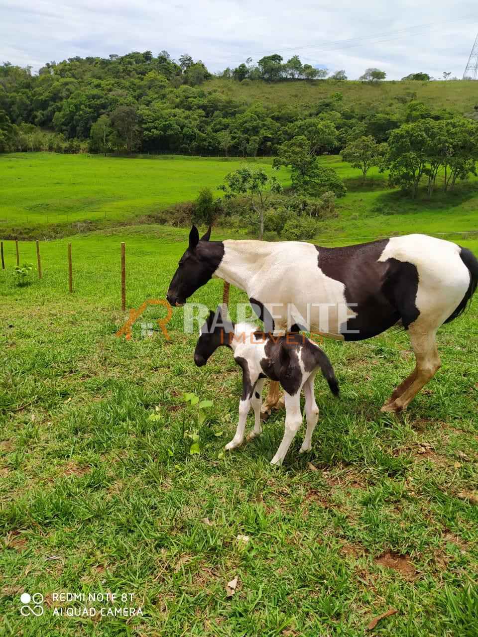 O Paraíso é aqui! Fazenda autossustentável incrível!