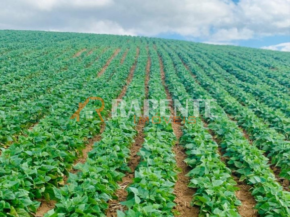 O Paraíso é aqui! Fazenda autossustentável incrível!