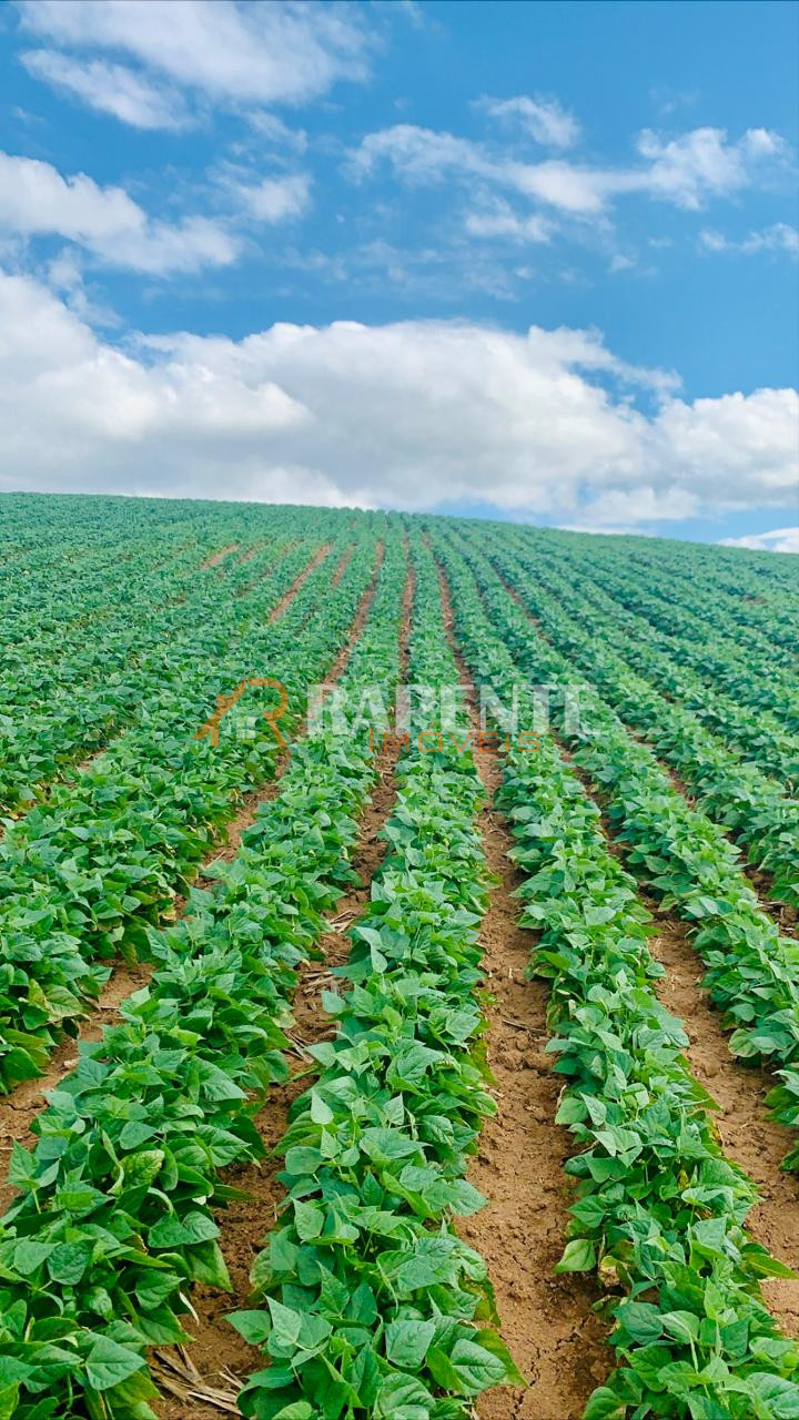 O Paraíso é aqui! Fazenda autossustentável incrível!
