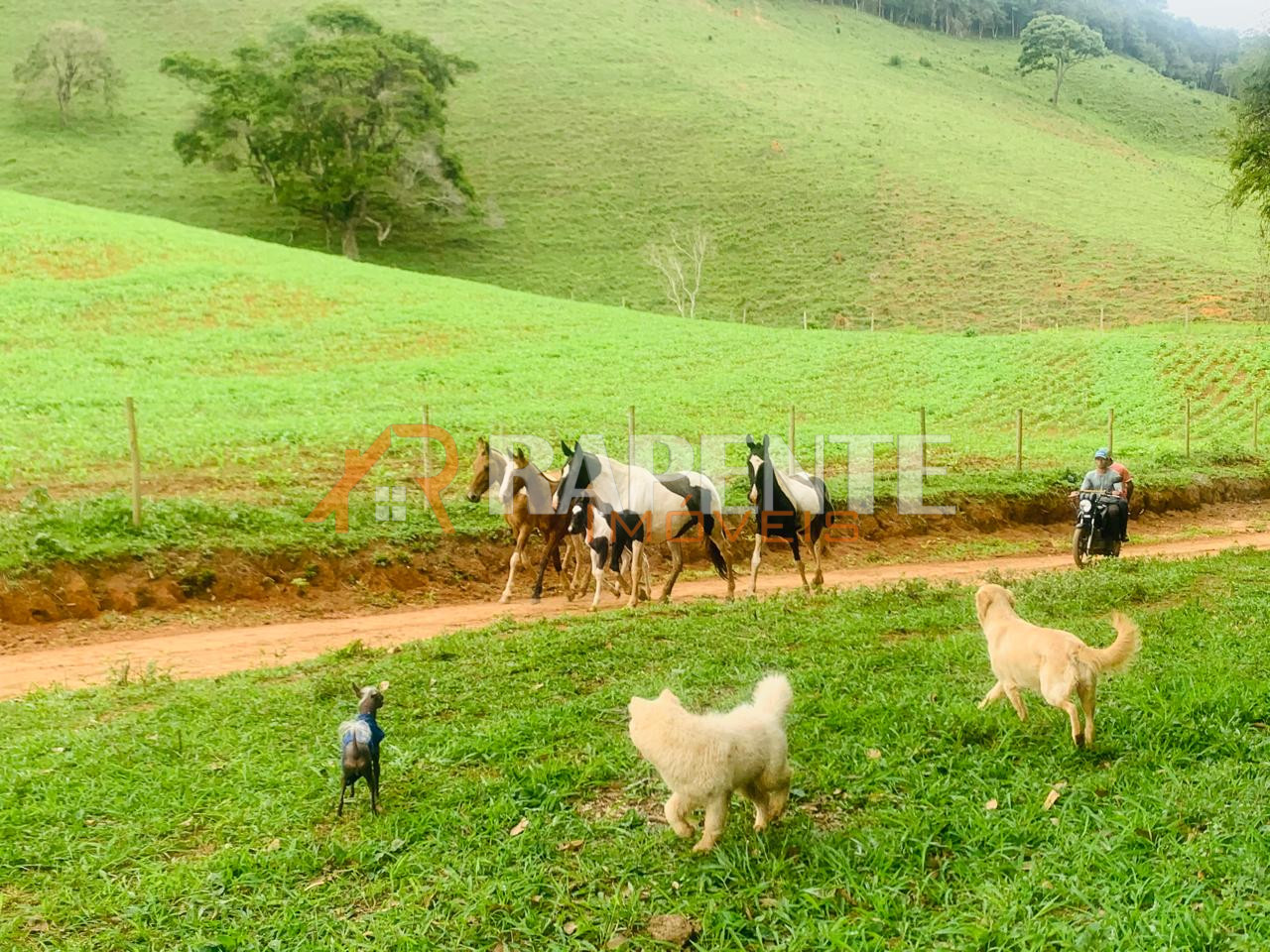 O Paraíso é aqui! Fazenda autossustentável incrível!
