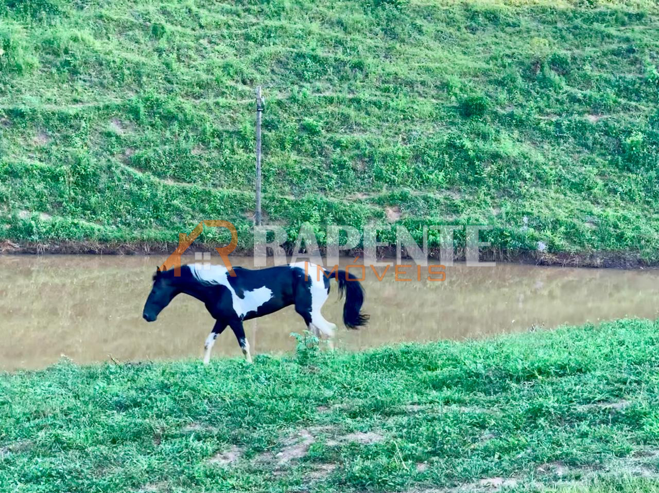 O Paraíso é aqui! Fazenda autossustentável incrível!