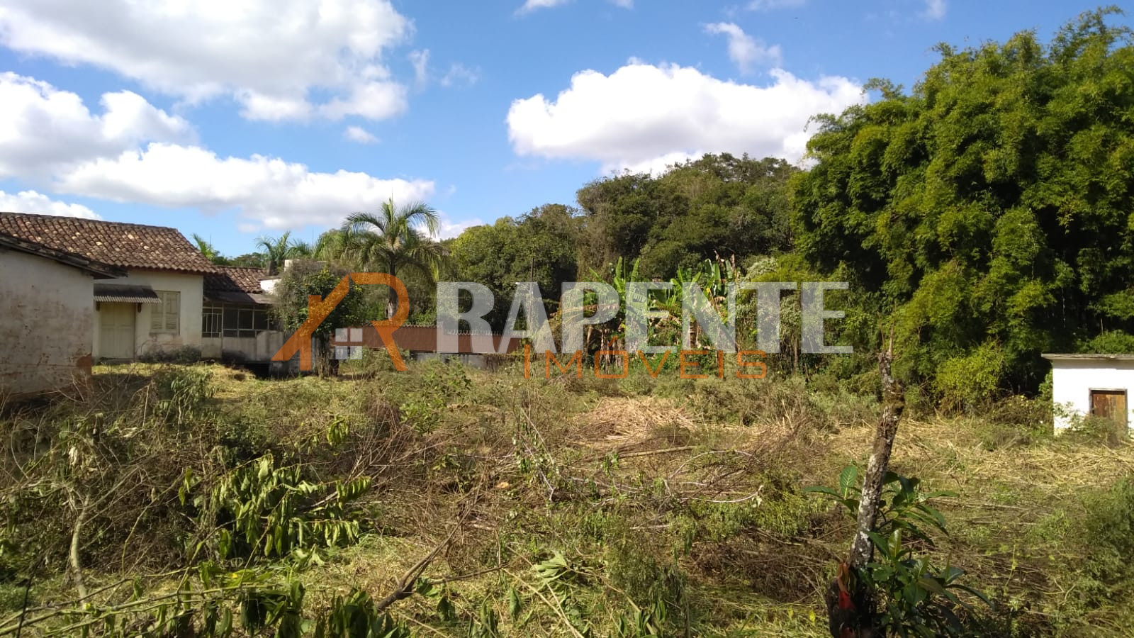 Oportunidade na Colônia!