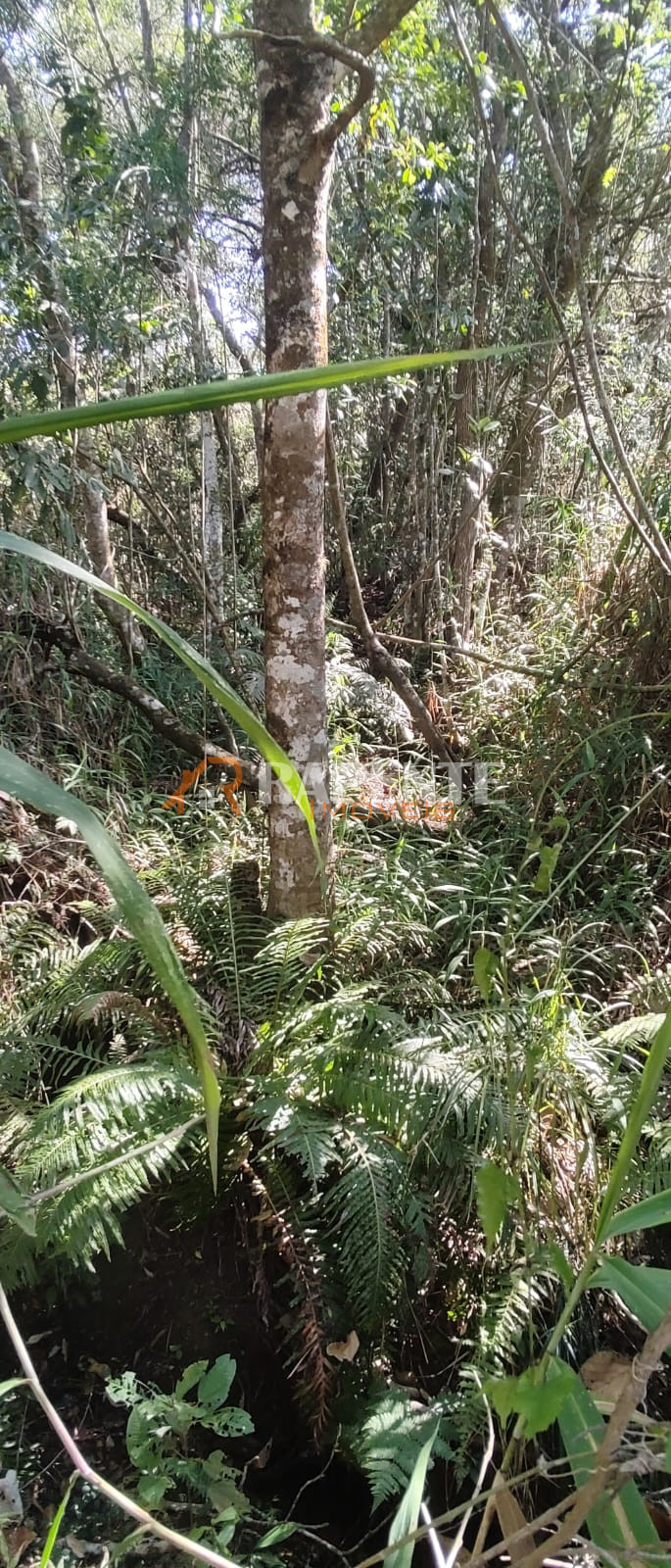 Terreno lote à venda no Área Rural de Barbacena, Barbacena