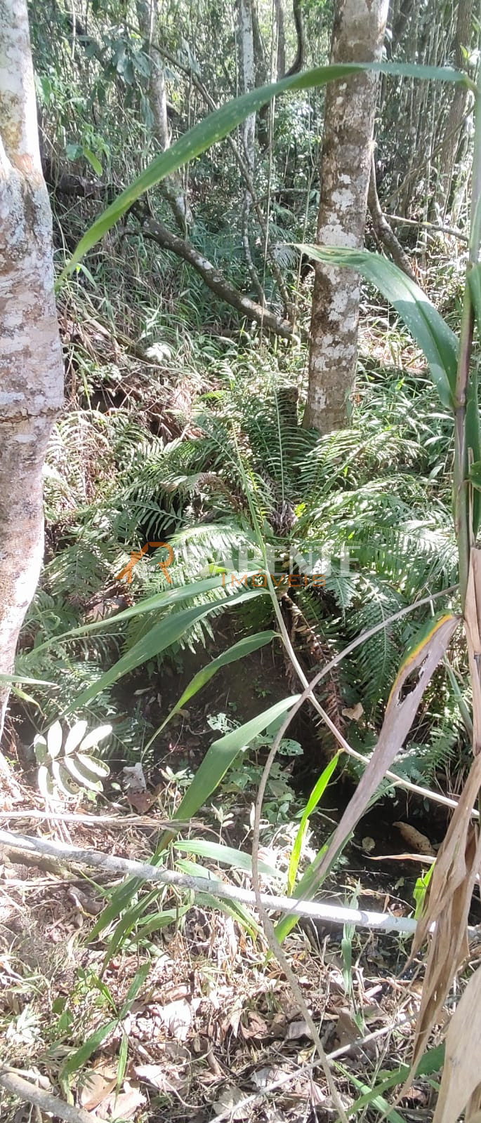 Terreno lote à venda no Área Rural de Barbacena, Barbacena