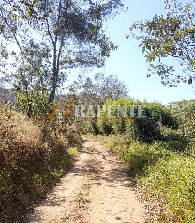 685