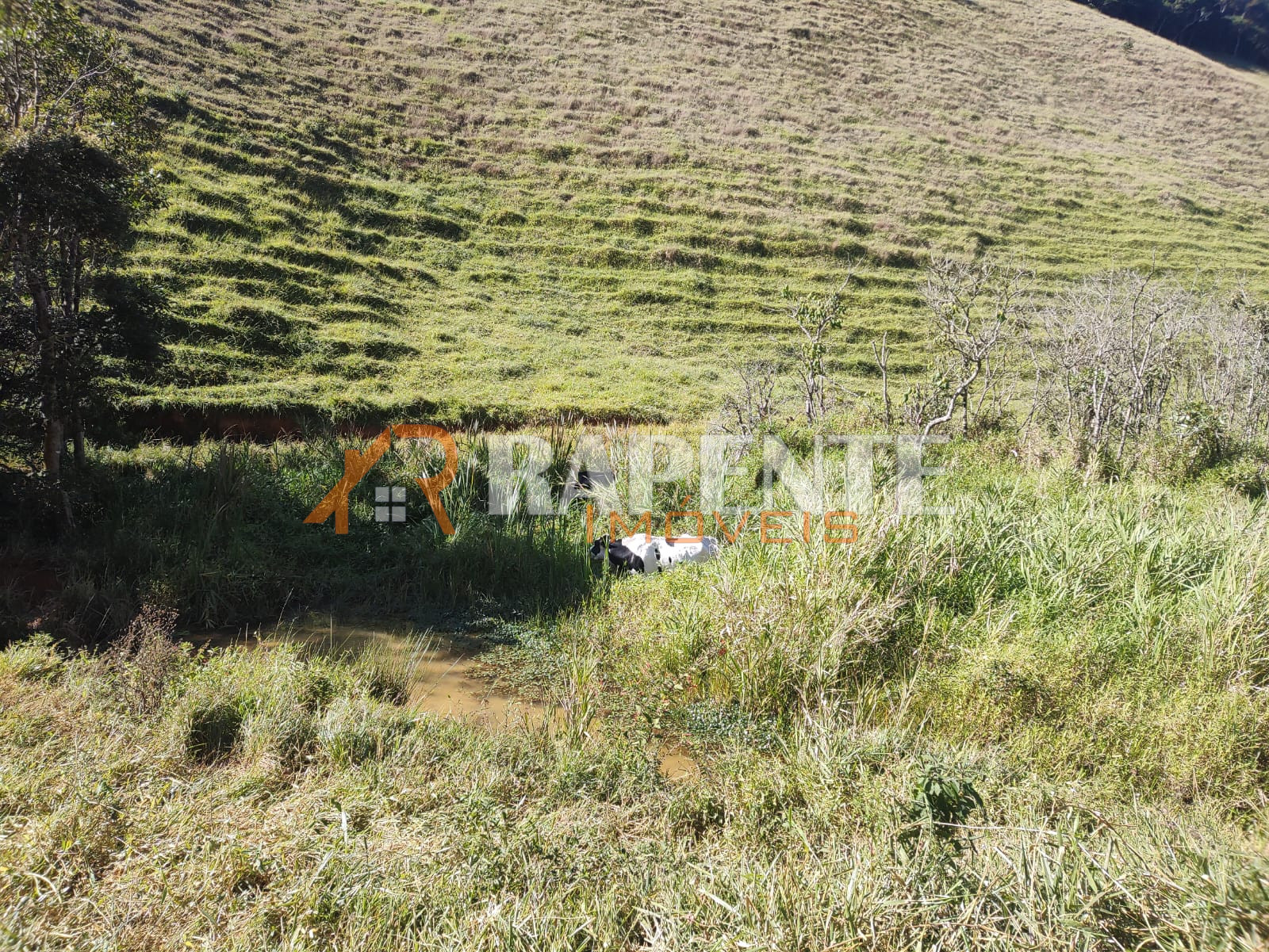 WhatsApp Image 2024-06-14 at 11.38.36 (1) Terreno em Correia de Almeida, Barbacena/MG