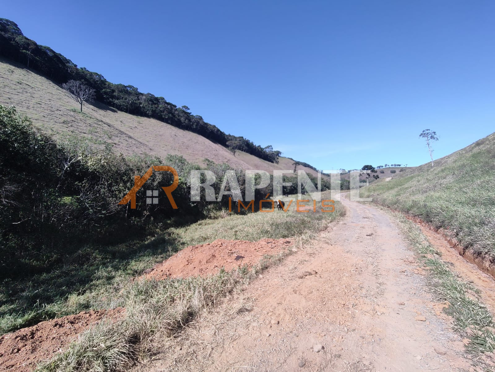 WhatsApp Image 2024-06-14 at 11.38.40 (4) Terreno em Correia de Almeida, Barbacena/MG